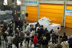 マグロ解体ショー1